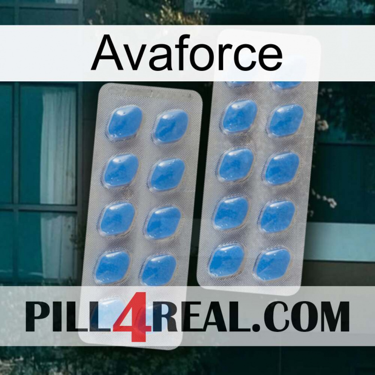 Avaforce 23